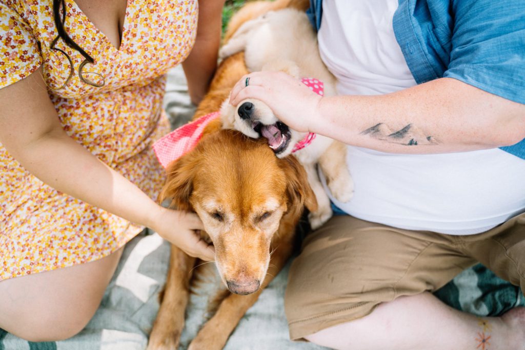 people holding their dogs