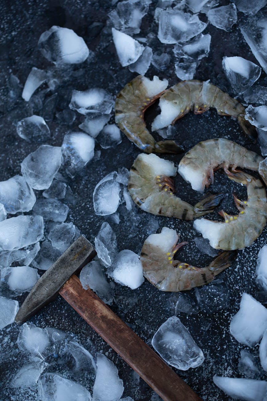 shards of ice and hammer near shrimps