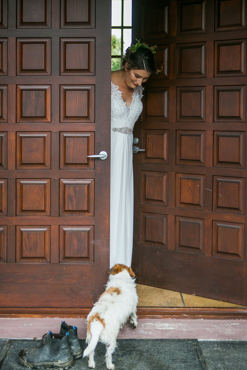 young bride standing in doorway and looking at curious dog before wedding ceremony