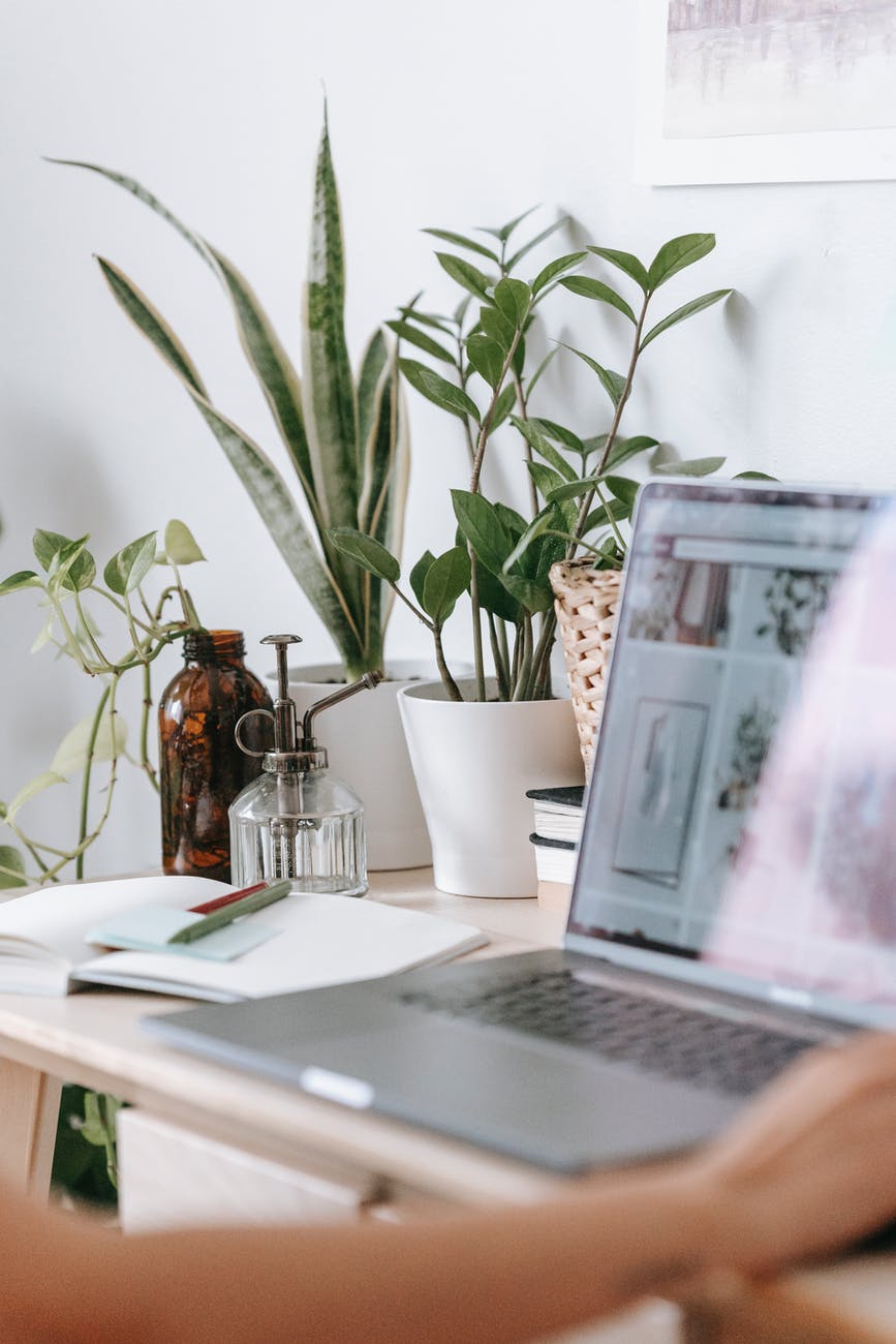 person working at table with modern laptop and green plants